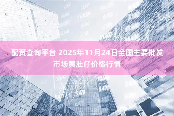 配资查询平台 2025年11月24日全国主要批发市场黄肚仔价格行情
